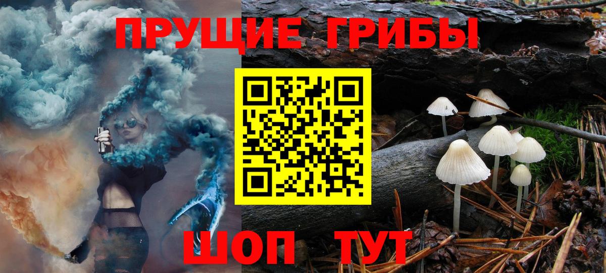 Галлюциногенные грибы Psilocybe  Вход с VPN  наркота  Галлюциногенные грибы Psilocybine cubensis  Краснотурьинск 